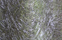 Compton Bassett fibreglass roof work